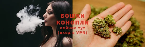трава Майский
